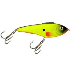 Vobleris Aqua Fishing Tackle 115mm 144 kaina ir informacija | Vobleriai, masalai, blizgės | pigu.lt