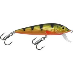 Vobleris Aqua Fishing Tackle 75mm 048 kaina ir informacija | Vobleriai, masalai, blizgės | pigu.lt