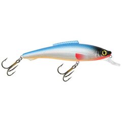 Vobleris Aqua Fishing Tackle 110mm 015 kaina ir informacija | Vobleriai, masalai, blizgės | pigu.lt