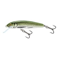 Воблер Minnow 7S 7cm/8g/1.5-2.0m OLB цена и информация | Воблеры, приманки, блесны | pigu.lt