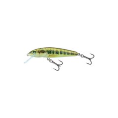 Воблер Minnow 7S 7cm/8g/1.5-2.0m MIN цена и информация | Воблеры, приманки, блесны | pigu.lt