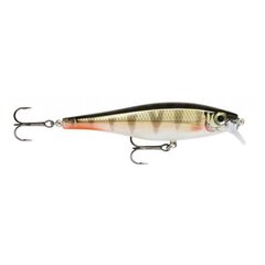 Воблер BX Minnow 10cm/12g/0.9-1.5m RFP цена и информация | Воблеры, приманки, блесны | pigu.lt