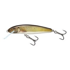 Воблер Minnow 7F 7cm/6g/1.0-1.5m GRY цена и информация | Воблеры, приманки, блесны | pigu.lt