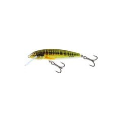 Воблер Minnow 7F 7cm/6g/1.0-1.5m HRM цена и информация | Воблеры, приманки, блесны | pigu.lt