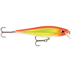 Воблер BX Minnow 7cm/7g/06-1.2m HH цена и информация | Воблеры, приманки, блесны | pigu.lt