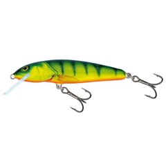 Воблер Minnow 6S 6cm/6g/1.0-1.5m HP цена и информация | Воблеры, приманки, блесны | pigu.lt