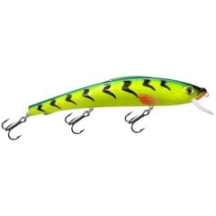 Vobleris Aqua Fishing Tackle 190mm 058 kaina ir informacija | Vobleriai, masalai, blizgės | pigu.lt