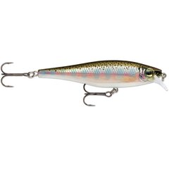 Воблер BX Minnow 10cm/12g/0.9-1.5m RT цена и информация | Воблеры, приманки, блесны | pigu.lt