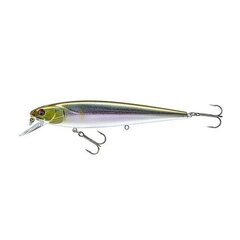 Daiwa PX Minnow SR 120 12cm/17g/0,6-1,2m ayu цена и информация | Воблеры, приманки, блесны | pigu.lt