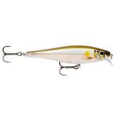 Воблер BX Minnow 10cm/12g/0.9-1.5m AYU цена и информация | Воблеры, приманки, блесны | pigu.lt