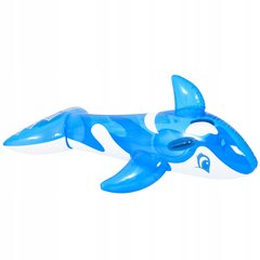 Pripučiamas delfinas vandenyje Jilong, 135x73x60 cm, mėlynas kaina ir informacija | Pripučiamos ir paplūdimio prekės | pigu.lt