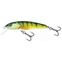 Воблер Minnow 9F 9cm/10g/0.8-1.2m PH цена и информация | Воблеры, приманки, блесны | pigu.lt