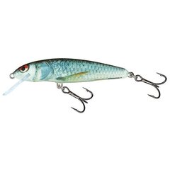 Воблер Minnow 9F 9cm/10g/0.8-1.2m RD цена и информация | Воблеры, приманки, блесны | pigu.lt