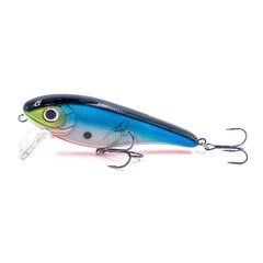 Strike-Pro EG-049SL A05T 12cm/34.6g/0.5-1.0m цена и информация | Воблеры, приманки, блесны | pigu.lt