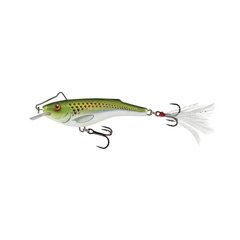 Masalas Salmo Lure Rail Shad 6S HNS kaina ir informacija | Vobleriai, masalai, blizgės | pigu.lt