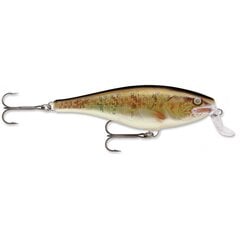 Masalas Rapala Super Shad Rap W kaina ir informacija | Vobleriai, masalai, blizgės | pigu.lt