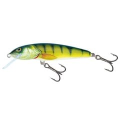 Воблер Minnow 9S 9cm/12g/1.5-2.5m PH цена и информация | Воблеры, приманки, блесны | pigu.lt