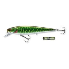 Daiwa PX Minnow SR 120 12cm/17g/0,6-1,2m live pike цена и информация | Воблеры, приманки, блесны | pigu.lt