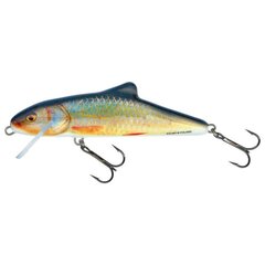 Masalas Salmo Lure Skinner 10F RR kaina ir informacija | Vobleriai, masalai, blizgės | pigu.lt