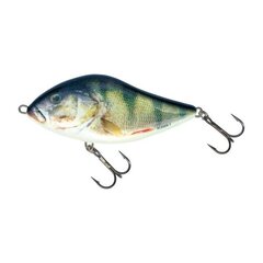 Masalas Salmo Lure Slider 10F RPH kaina ir informacija | Vobleriai, masalai, blizgės | pigu.lt