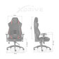 Žaidimų kėdė xDrive Anka Profesional kaina ir informacija | Biuro kėdės | pigu.lt