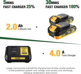 Akumuliatorinis gręžtuvas Teccpo 18V 2x2000mAh ir 29 vnt. priedų kaina ir informacija | Suktuvai, gręžtuvai | pigu.lt