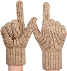Теплые зимние сенсорные перчатки цена и информация | Женские перчатки | pigu.lt