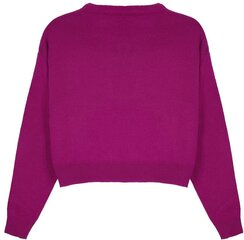 Megztinis moterims Pantoneclo, rožinis kaina ir informacija | Megztiniai moterims | pigu.lt