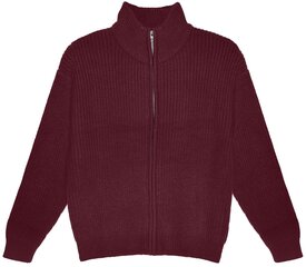 Džemperis moterims Pantoneclo, raudonas kaina ir informacija | Džemperiai moterims | pigu.lt