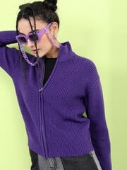 Megztinis moterims Pantoneclo, violetinis kaina ir informacija | Megztiniai moterims | pigu.lt