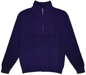 Megztinis moterims Pantoneclo, violetinis kaina ir informacija | Megztiniai moterims | pigu.lt