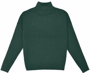 Megztinis moterims Pantoneclo, žalias kaina ir informacija | Megztiniai moterims | pigu.lt