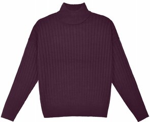 Megztinis moterims Pantoneclo PAN2022069, violetinis цена и информация | Женские кофты | pigu.lt
