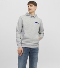 Мужская толстовка Jack & Jones 12233599*01, серый цена и информация | Мужские толстовки | pigu.lt