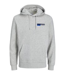 Мужская толстовка Jack & Jones 12233599*01, серый цена и информация | Мужские толстовки | pigu.lt