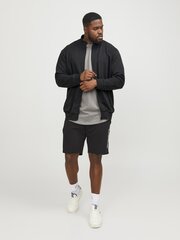 Мужская толстовка Jack & Jones 12253745*01, черный цена и информация | Мужские толстовки | pigu.lt