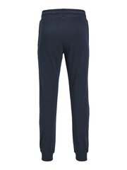 Jack & Jones мужские спортивные брюки 12253887*01, тёмно-синий 5715507492023 цена и информация | Мужские брюки | pigu.lt