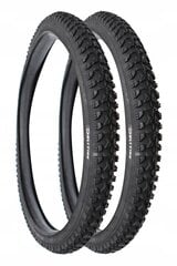 Шина DELI TIRE 20x1.95 SA 282 BK Белые полосы HIT цена и информация | Покрышки, шины для велосипеда | pigu.lt