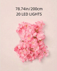 LED girlianda 2 m kaina ir informacija | Girliandos | pigu.lt