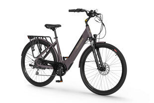 Elektrinis dviratis EcoBike X-City Coffee 28", rudas kaina ir informacija | Elektriniai dviračiai | pigu.lt