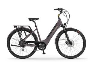 Elektrinis dviratis EcoBike X-City Coffee 28", rudas kaina ir informacija | Elektriniai dviračiai | pigu.lt
