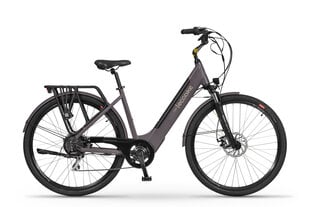 Elektrinis dviratis EcoBike X-City Coffee 28", rudas цена и информация | Электровелосипеды | pigu.lt