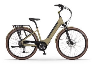 Elektrinis dviratis Ecobike X-City Cappuccino 28", rudas kaina ir informacija | Elektriniai dviračiai | pigu.lt