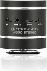 Ferguson Vibro Stereo kaina ir informacija | Namų garso kolonėlės ir Soundbar sistemos | pigu.lt