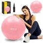 Pripučiamas gimnastikos kamuolys su pompa 4fizjo, 75 cm, rožinis цена и информация | Gimnastikos kamuoliai | pigu.lt
