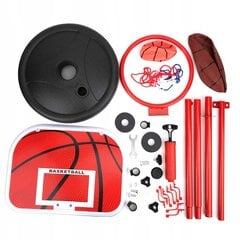 Krepšinio lentos rinkinys, 160cm цена и информация | Баскетбольные щиты | pigu.lt