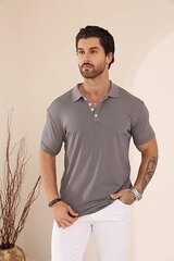 Мужская рубашка-поло Plilima, серая цена и информация | Футболка мужская | pigu.lt
