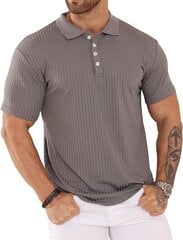 Мужская рубашка-поло Plilima, серая цена и информация | Футболка мужская | pigu.lt
