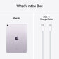 iPad Air 11" M2 Wi-Fi + Cellular 1TB - Purple - MUXV3HC/A цена и информация | Planšetiniai kompiuteriai | pigu.lt