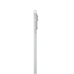 iPad Pro 11" M4 Wi-Fi 1TB with Standard glass - Silver - MVVF3HC/A цена и информация | Планшеты | pigu.lt